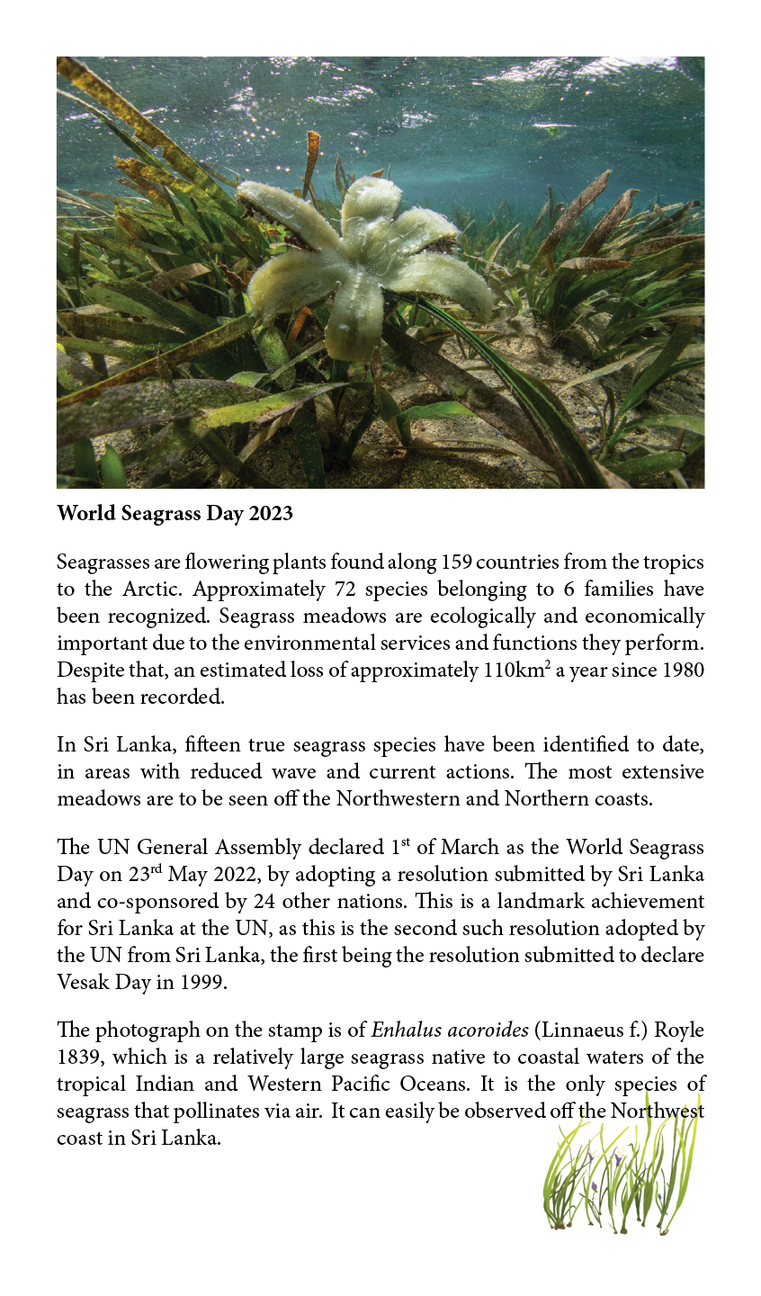 Annex_1_-_World_Seagrass_fact_sheet